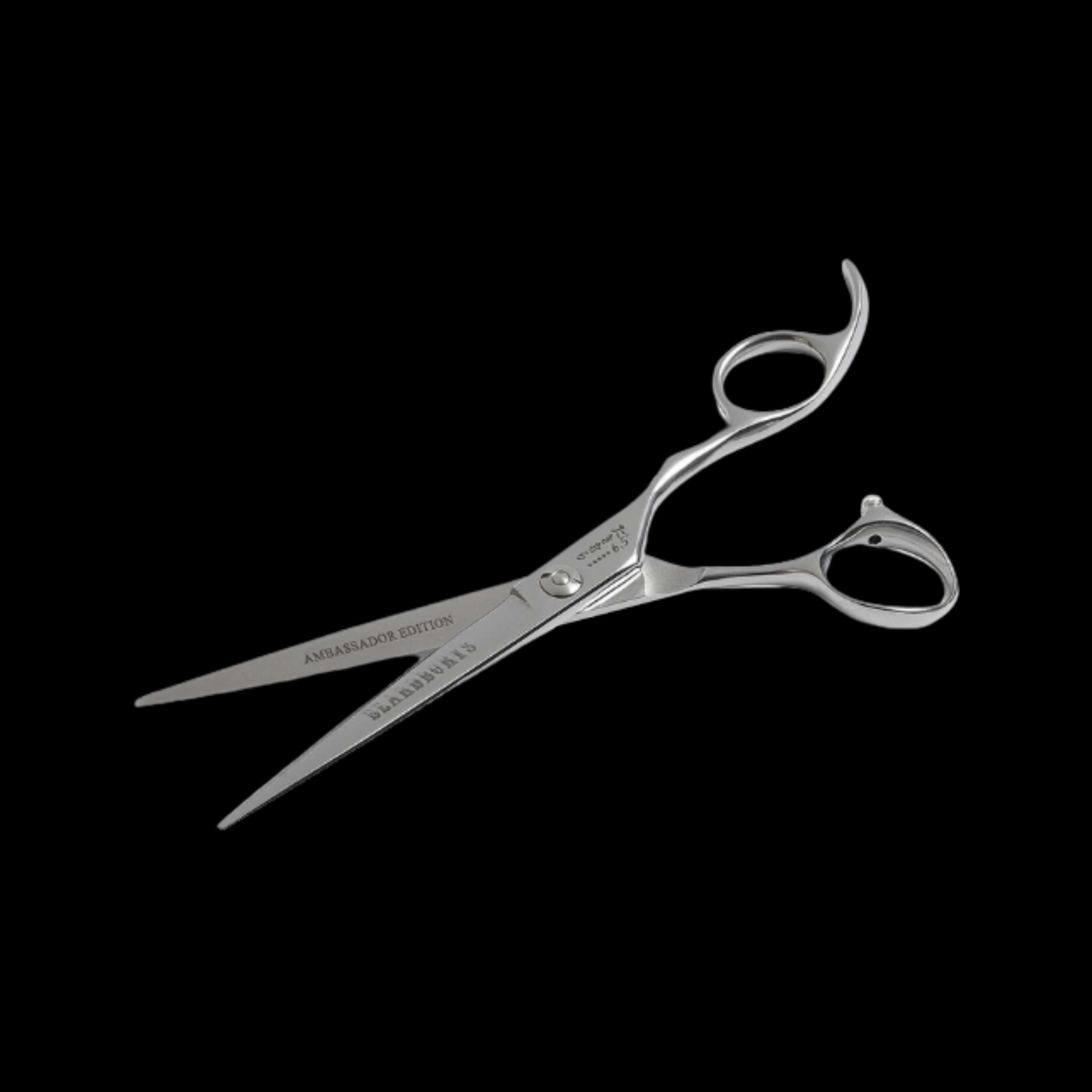 Takimura High-End Professional Hairdressing Scissors